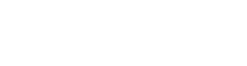 tech Vikings